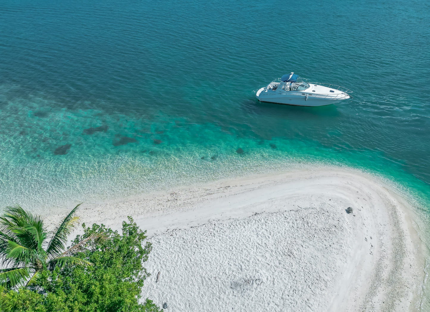 Yate Sea Ray 40'